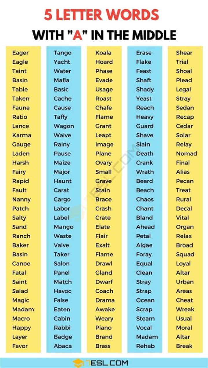 5 Letter Words with S_O_ _ in them – Wordle Game Help