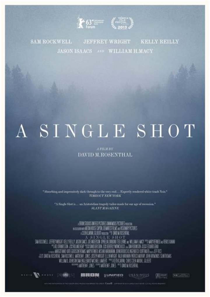 A Single Shot Review