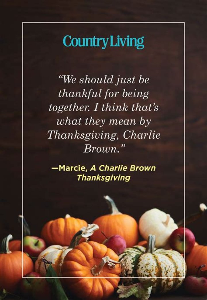 ABC Brings A Charlie Brown Thanksgiving And Christmas To Viewers For The Holidays