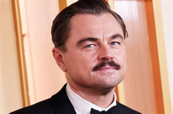 Actor Leonardo DiCaprio Is Accused Of Having Flings With Audrina Patridge In The Past