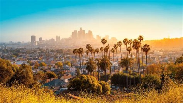 Angela Lam – Los Angeles, CA