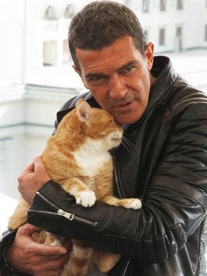 Antonio Banderas Favorite Food Color Movies Hobbies Biography