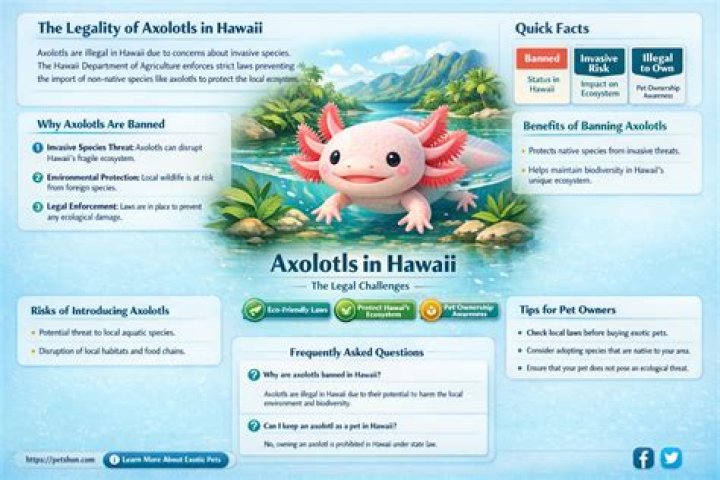 Are axolotls legal in hawaii