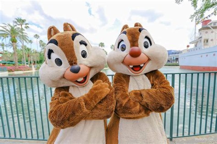 Are Chip and Dale twins? – Celebrity