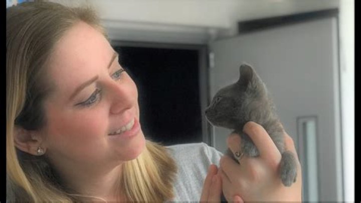 Ashley Morrison Obituary and Funeral Details, Youngest Old Cat Lady