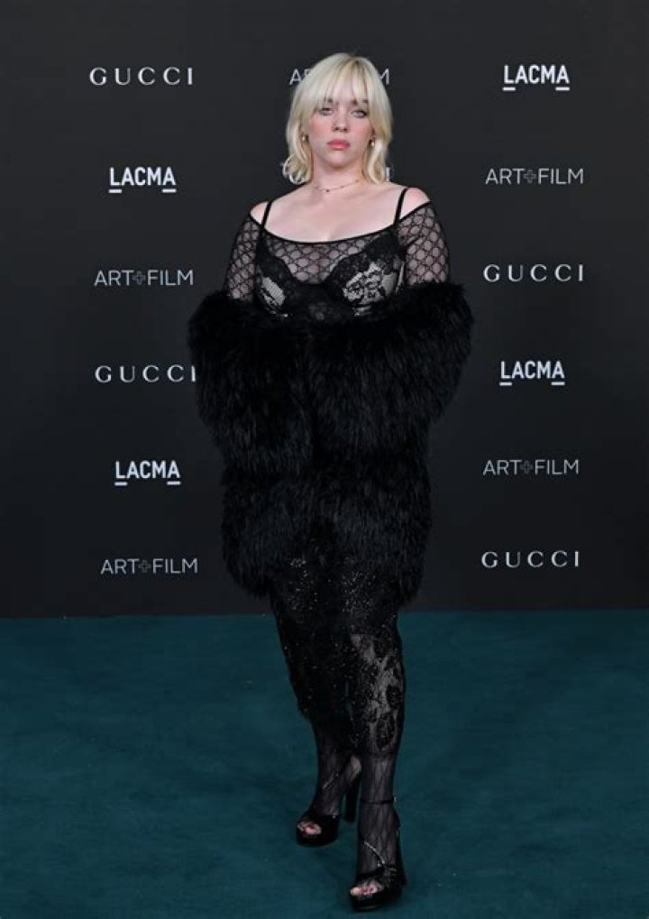 Billie Eilish in Bathing Suit Poses for a Rare Photo — Celebwell