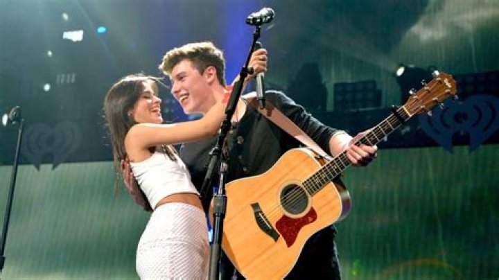 Camila Cabello Says Somebody’s Been ‘Changing My Plans’ Amid Shawn Mendes Dating Rumors And Fans Are Convinced She’s Talking About Him!