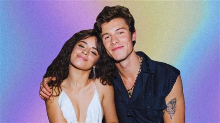 Camila Cabello Shows Love For Shawn Mendes At His Concert Amid Romance Rumors