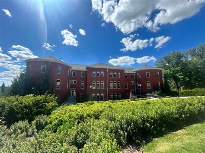 Carson Wentz college, education background, college career