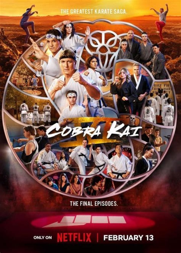 ‘Cobra Kai’ season 6 release window, returning cast, plot, and more