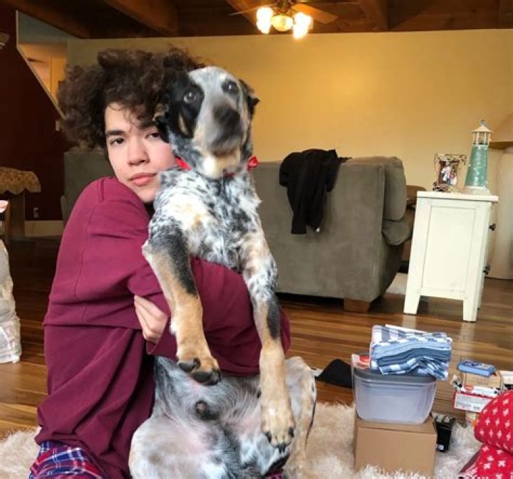 Conan Gray children: Does Conan Gray have children?
