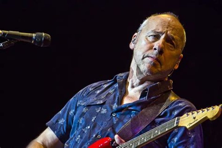 David Knopfler Net Worth, Income, Salary, Earnings, Biography