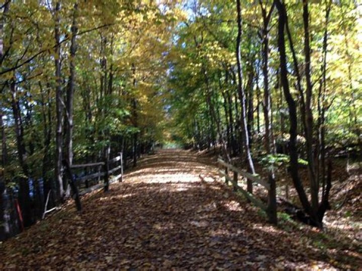 David Lingenfelter, PA – Bethel Park, PA