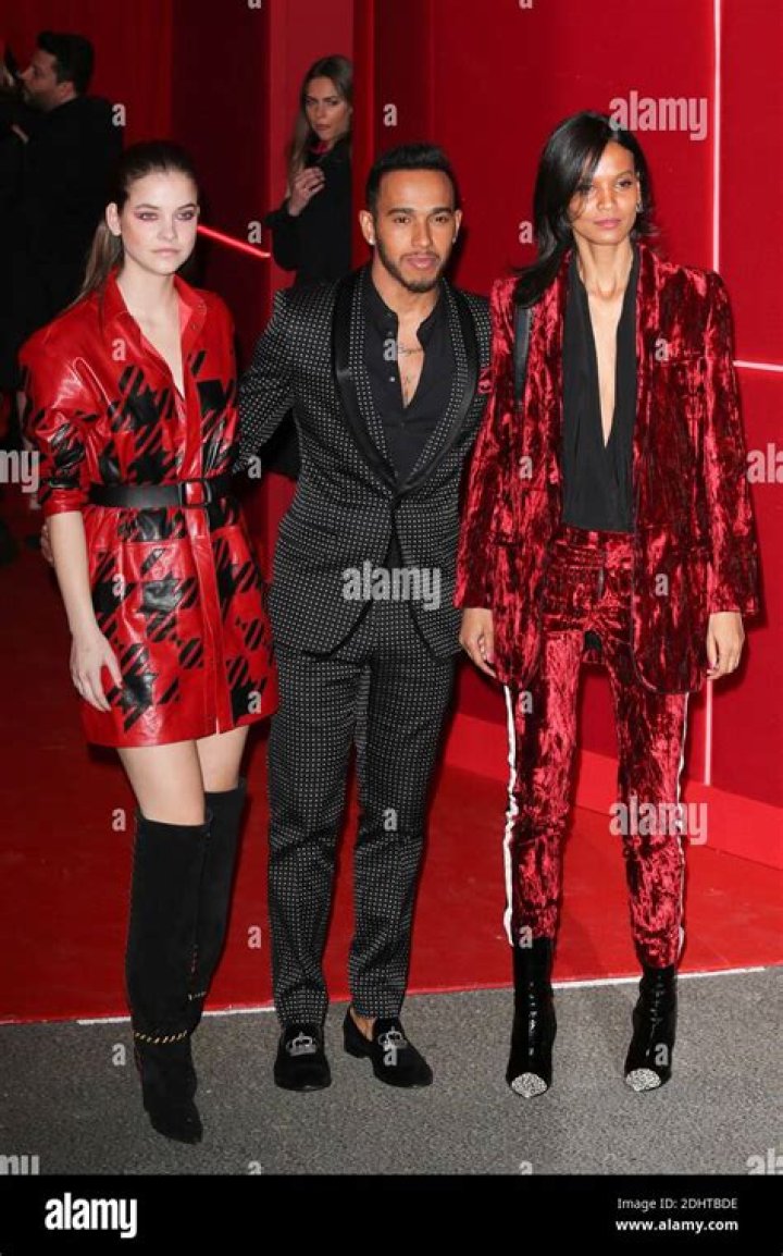 Did Barbara Palvin date Lewis Hamilton? Did Lewis Hamilton marry Barbara Palvin?