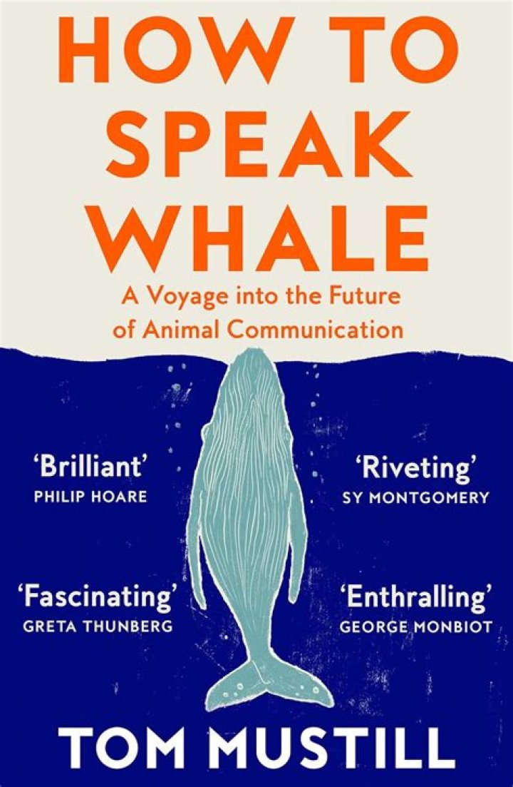 Did Dory actually speak whale? – Celebrity