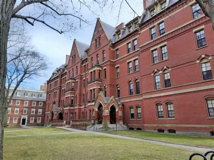 Did Lil Tay go to Havard University?