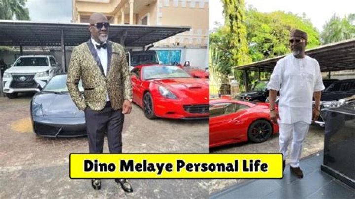 Dino Melaye Biography; Net Worth, Cars, Private Jet And HouseDino Melaye Biography; Net Worth, Cars, Private Jet And House