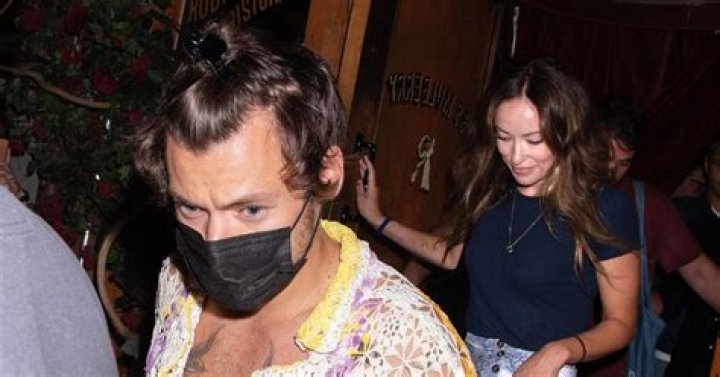 Do Harry Styles and Olivia Wilde have a child?