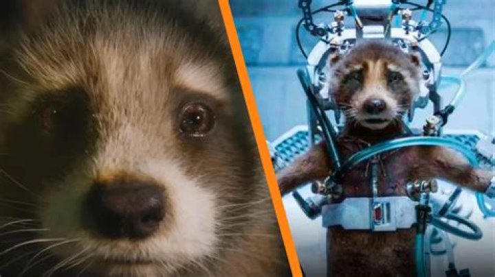 Does ‘Guardians of the Galaxy Vol. 3’ go too far with its animal cruelty?
