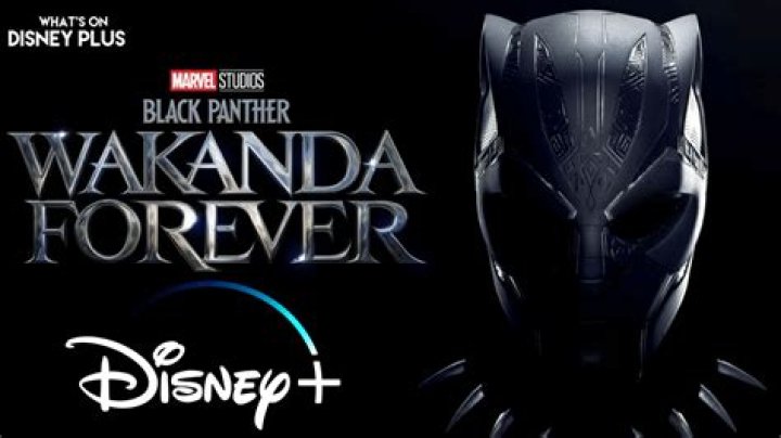 Does the ‘Black Panther: Wakanda Forever’ Disney Plus delay set a disappointing precedent for the MCU’s Phase 5?