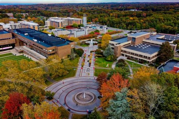 Dr. Aaron Wigdor, MD – Stony Brook, NY