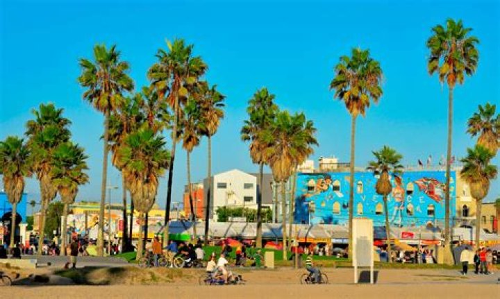 Dr. Alexander Raufi, MD – Long Beach, CA