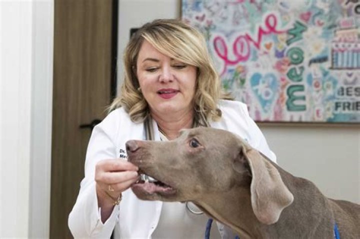 Dr. Holly Smith, MD – The Woodlands, TX