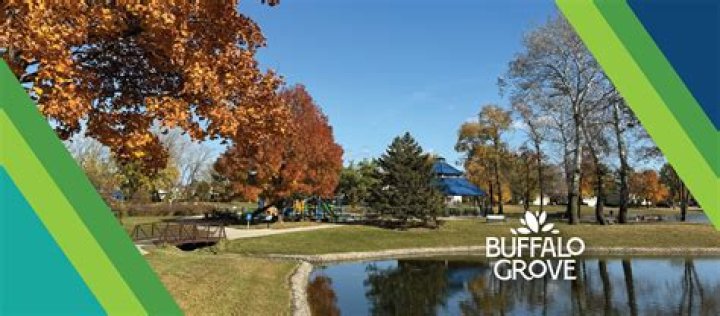 Dr. M Radis, MD – Buffalo Grove, IL