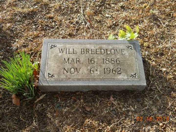 Dr. William Breedlove, MD – Blairsville, GA