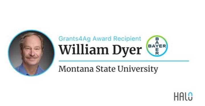 Dr. William Dyer, MD – Mountain Home, AR