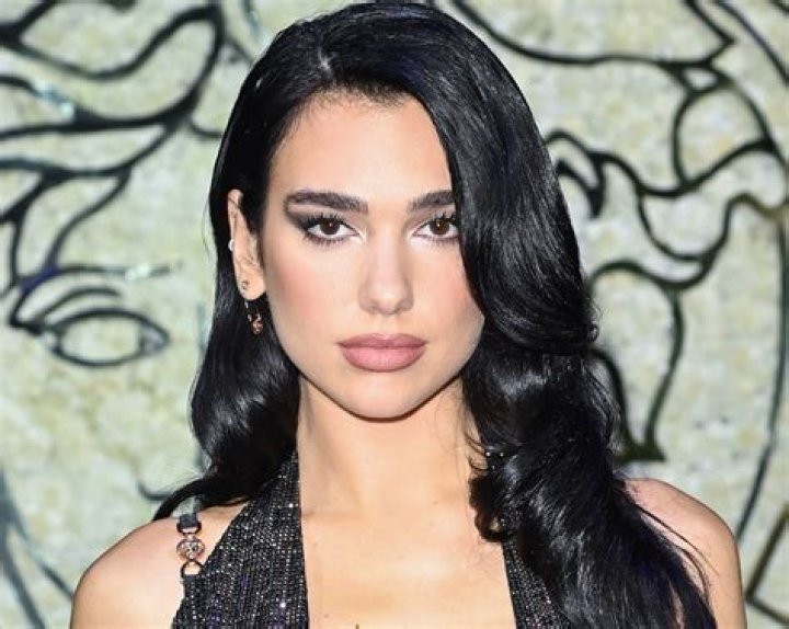 Dua Lipa in Bathing Suit Says "Happy 50th Birthday" to Mom — Celebwell