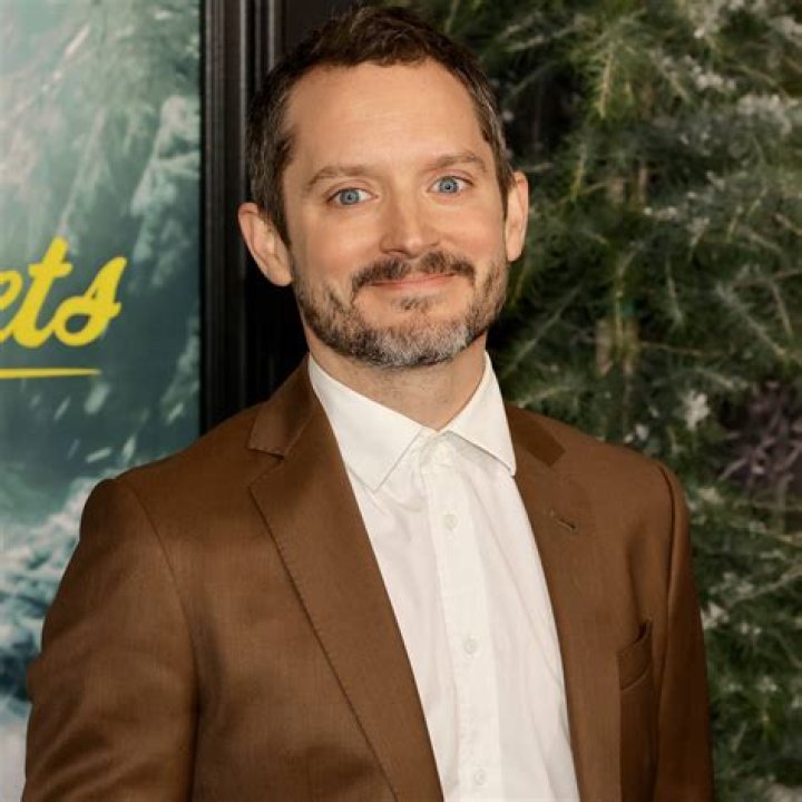 Elijah Wood’s net worth, biography, fact, career, awards and life story