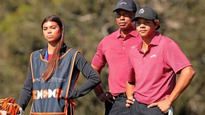 Elin Nordegren Biography - Facts, Childhood, Family Life & Achievements