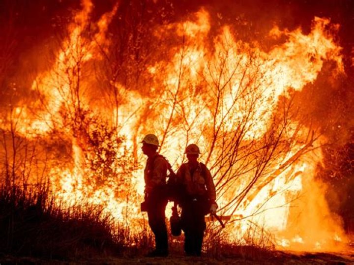 Elton John Donates $500,000 For Fighting Wildfires In Australia