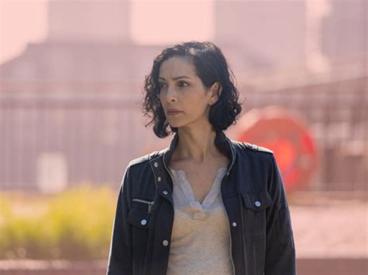 Everything On Sonita Henry Parents Ethnicity And Husband – Chelsea Detective Actress