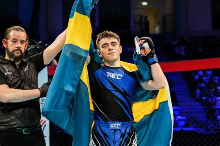 Famous Swedish Mixed Martial Artists
