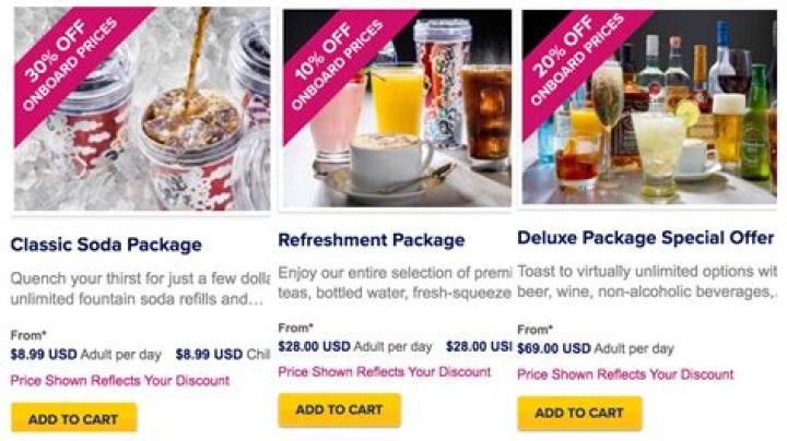 Farrah Abraham Is Selling Date Night Packages On Her Website – Find Out How Much She Thinks Fans Will Pay For ‘In-Person Time’