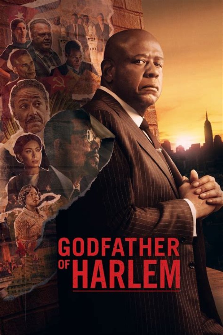Godfather Of Harlem Bumpy Johnson Daughter Elise Johnson