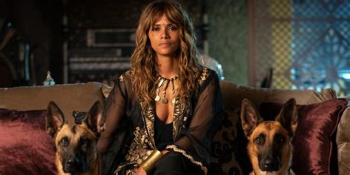 Halle Berry Claims New John Wick 3 Film Taxed Her Body In Ways She Never Experienced Before