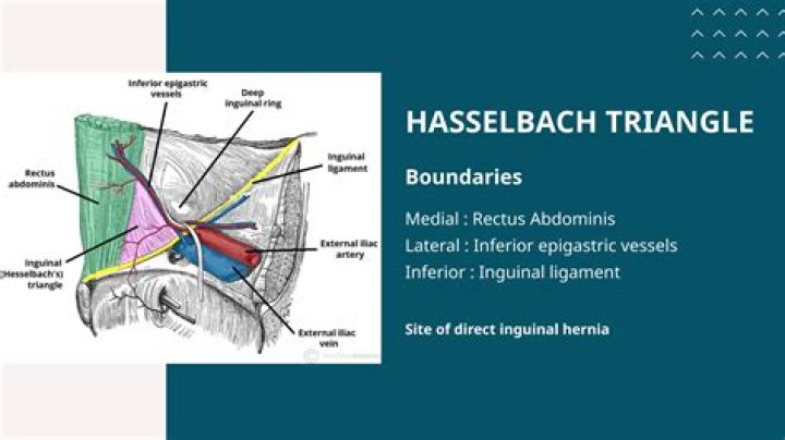 Harald Hasselbach’s 4 children: Meet Ashlee, Terran, Aven and Kian Hasselbach