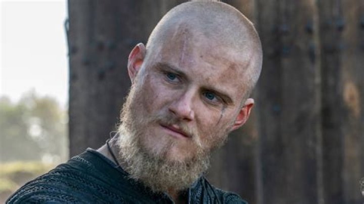 Harald Ludwig: Who is Alexander Ludwig’s dad?