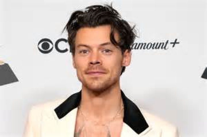 Harry Styles career earnings and net worth