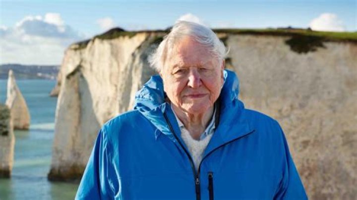 How Did David Hillsberg Die? Executive Director
