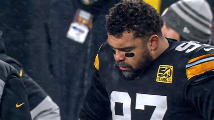 How long has Cameron Heyward been in the NFL? What nationality is Cameron Heyward?