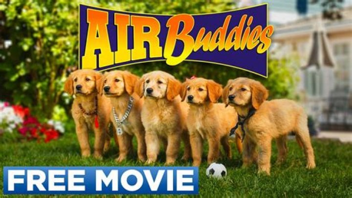 How many Buddies are there? – Celebrity