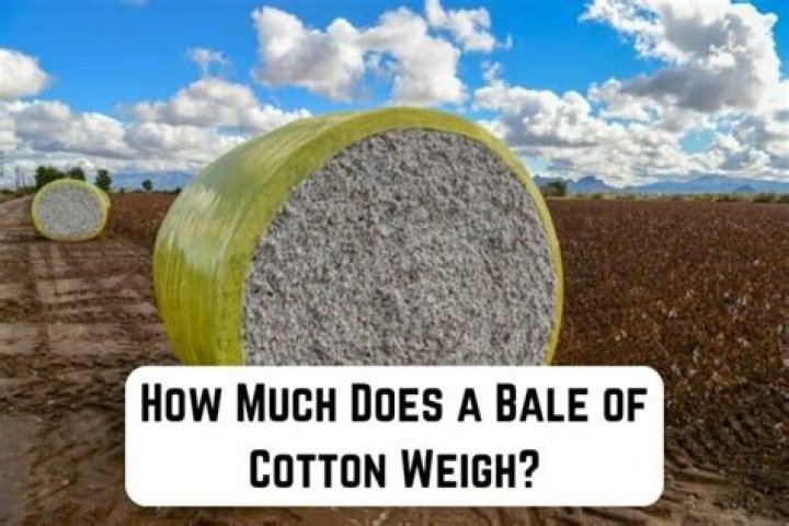 How much does 10 cotton balls weigh