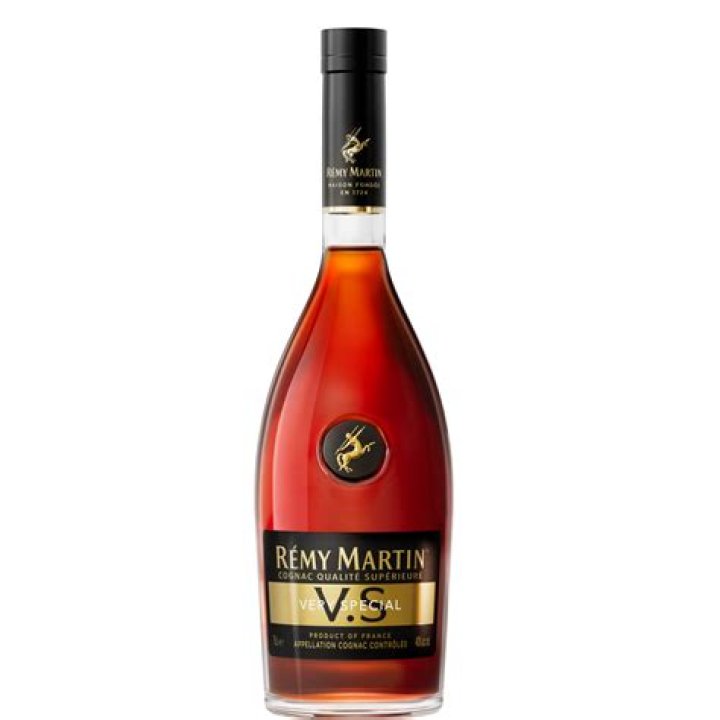 How Much Is Remy Worth? – Celebrity