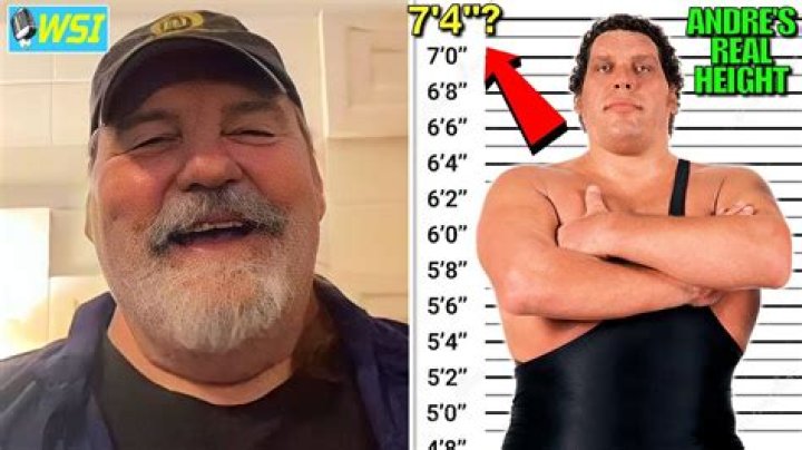 
How Much Money Does André the Giant Make? Latest Income Salary
