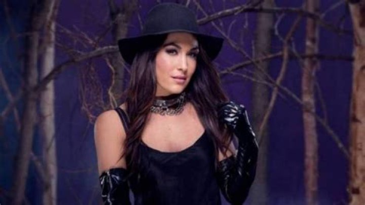 
How Much Money Does Brie Bella Make? Latest Income Salary
