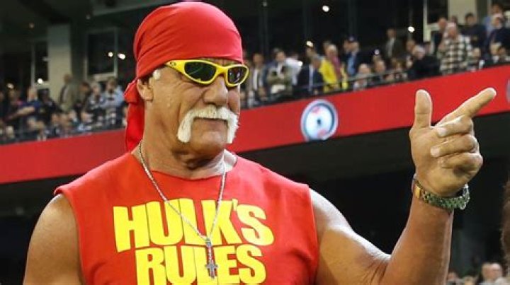 
How Much Money Does Hulk Hogan Make? Latest Income Salary
